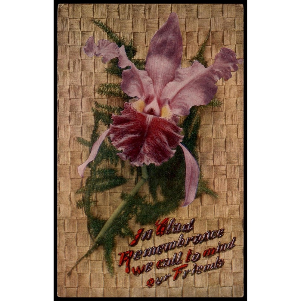 Vintage Div Back 1907-15 Orchid In Absent Remembrance Flowers Postcard 5.5x3.5